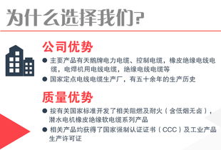 星輝映津哈 BVR電線與控制電纜的穩健鏈接之道